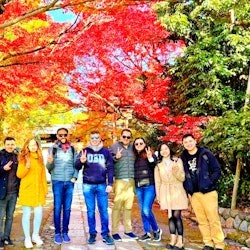 Kyoto: 10 Must-See Sights Guided tour - 3
