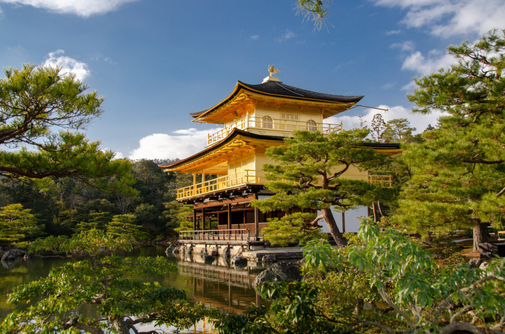 Kyoto and Nara Full-Day Tour from Kyoto (Kyoto and Nara Tour from Kyoto with Lunch) - 1