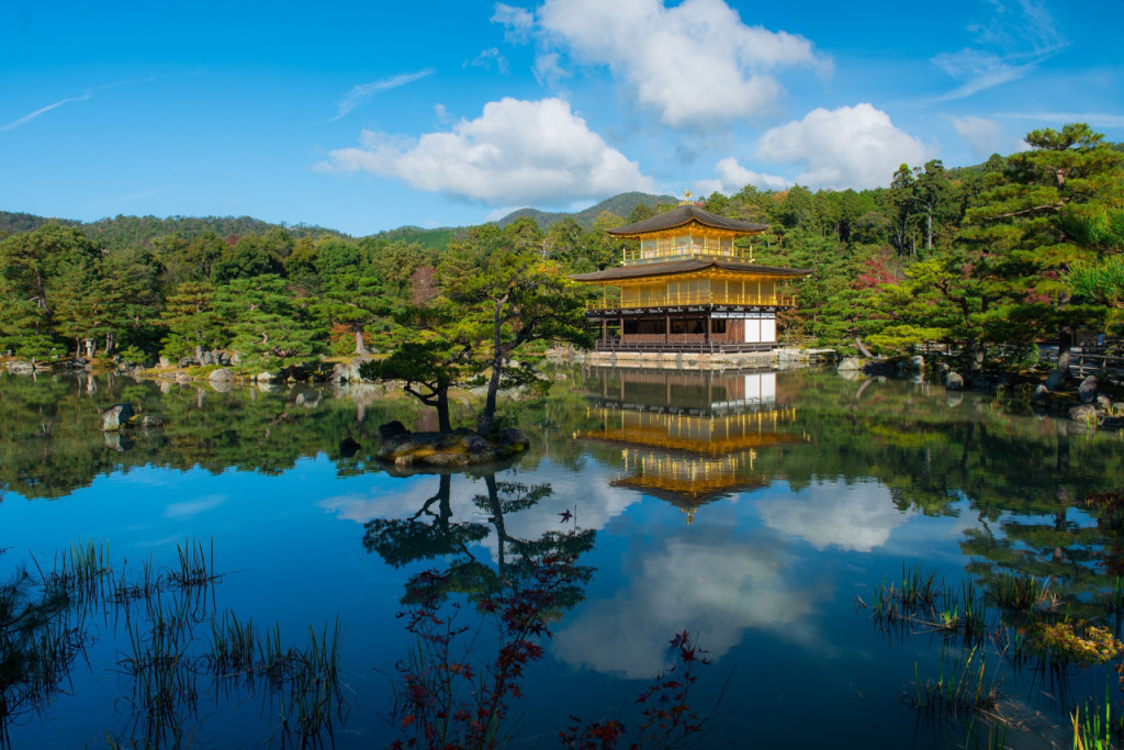 Kyoto and Nara Full-Day Tour from Kyoto (Kyoto and Nara Tour from Kyoto with Lunch) - 2