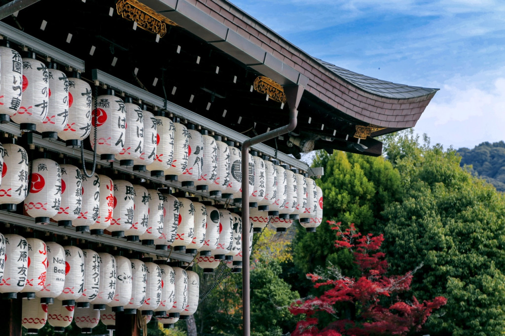 Kyoto and Nara Full-Day Tour from Osaka: Kiyomizudera Area, Fushimi Inari Taisha, Nara Park - 2