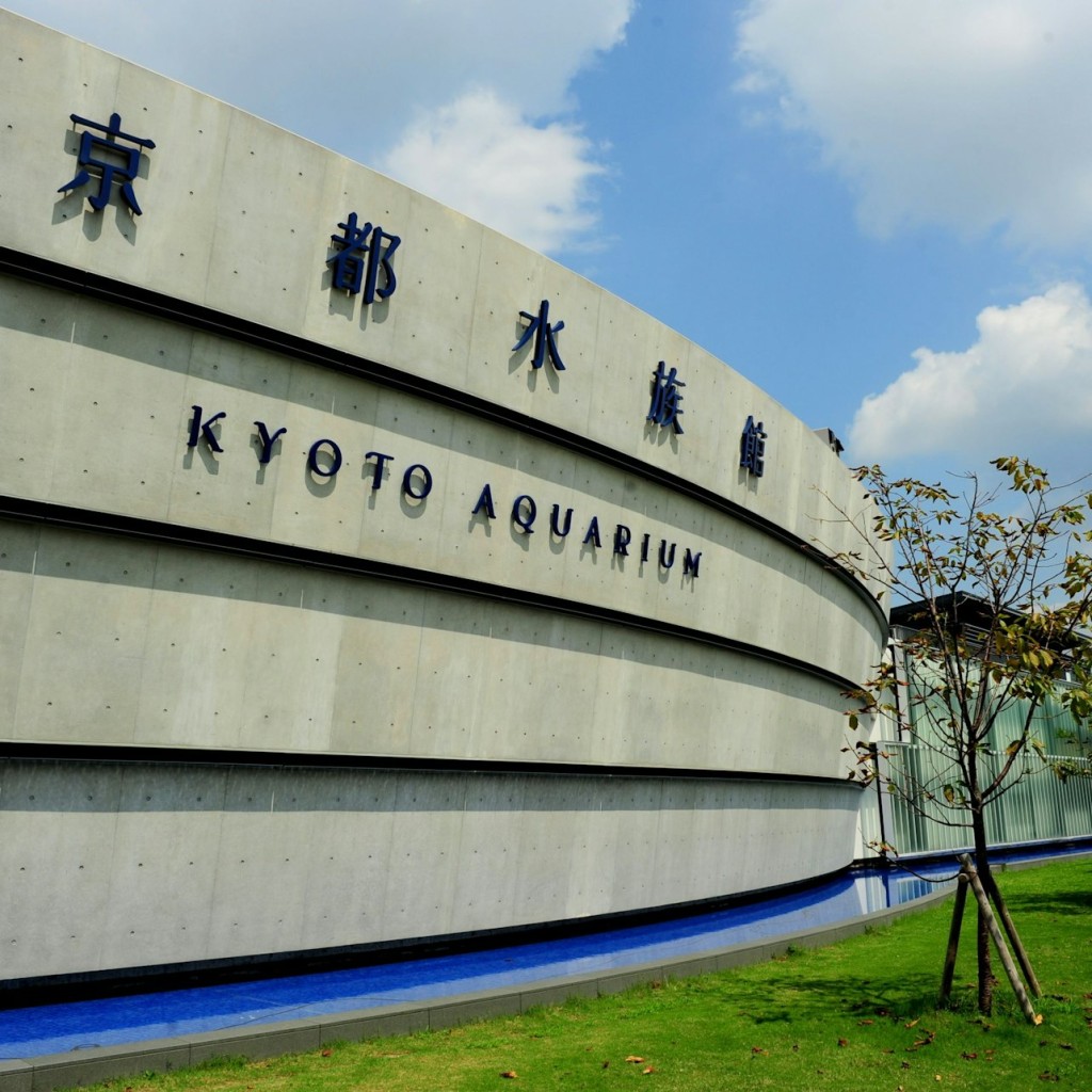 L'Aquàrium de Kyoto: Tiquet d'entrada - 2