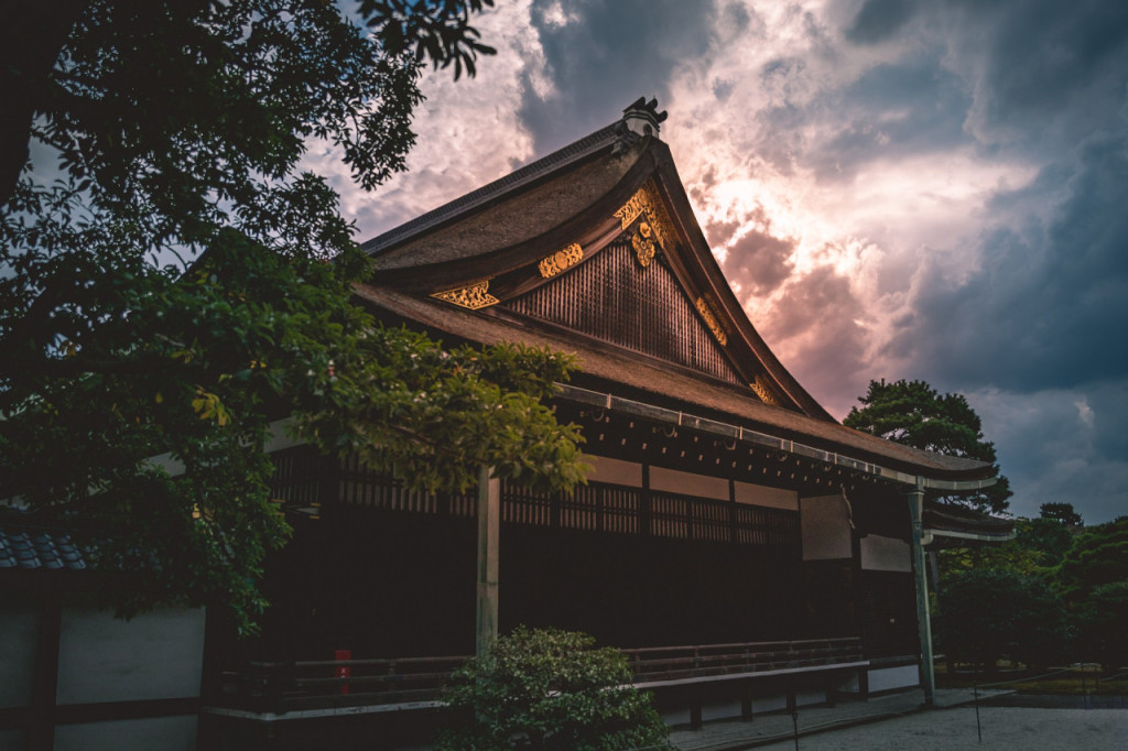 Kyoto Full-Day Tour: Nijo Castle, Kinkaku-ji,  Fushimi Inari Taisha, Kiyomizu-dera Temple (Kyoto Full-Day Tour) - 2