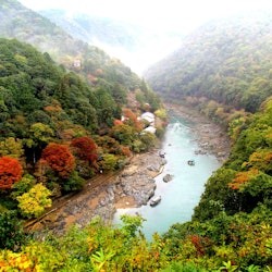 Kyoto: Guided Sightseeing Bus Tour in Japanese - 3