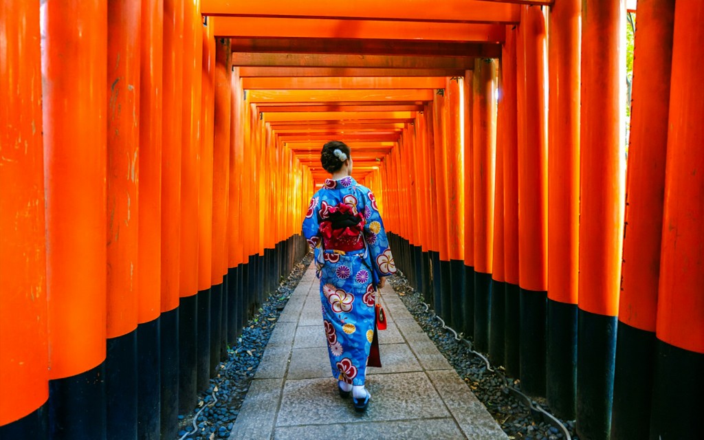 Geführte Kyoto-Tour: Bambushain, Schreine und Nara-Park ab Osaka (From Osaka: Namba Shinsaibashi area) - 3