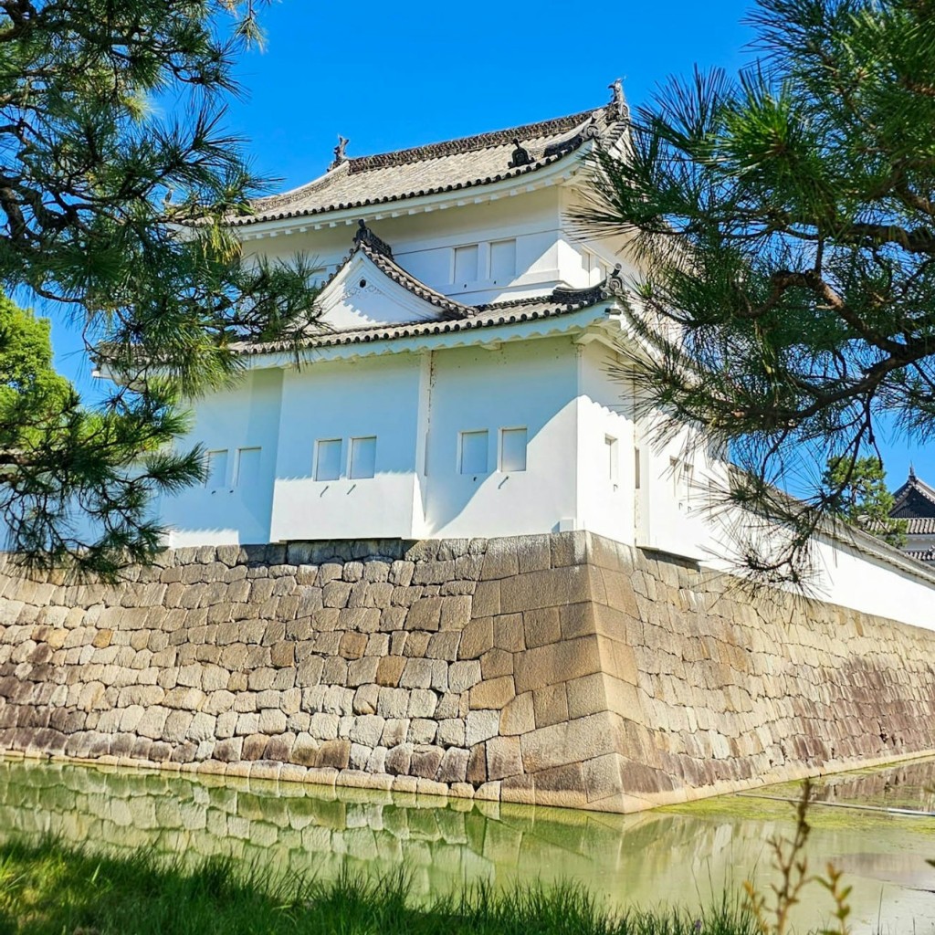 Palais impérial de Kyoto et château de Nijo : Visite guidée à pied - 1