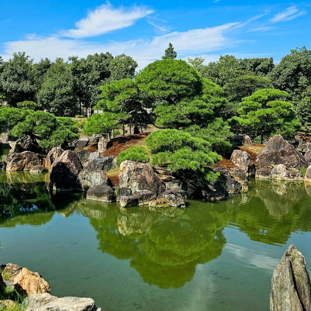 Palais impérial de Kyoto et château de Nijo : Visite guidée à pied - 2