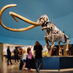 La Brea Tar Pits Museum - 2