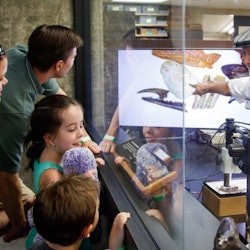 La Brea Tar Pits Museum - 3