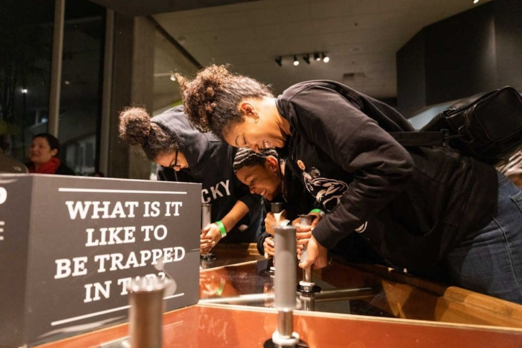 La Brea Tar Pits Museum (La Brea Tar Pits Museum - General Admission) - 1