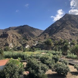 La Gomera Day Trip From Tenerife - 1