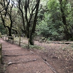 La Gomera Day Trip From Tenerife - 2