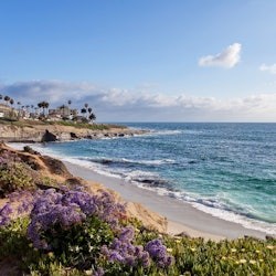 La Jolla Cove: Self-Guided Driving Tour - 2