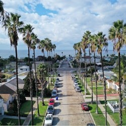 La Jolla Cove: Self-Guided Driving Tour - 3