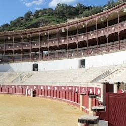 La Malagueta Bullring: Entry Ticket + Audio Guide - 2