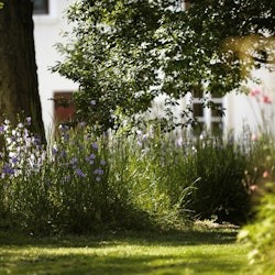 Lackenbach Palace Museum: Entry Ticket + Guided Tour - 1