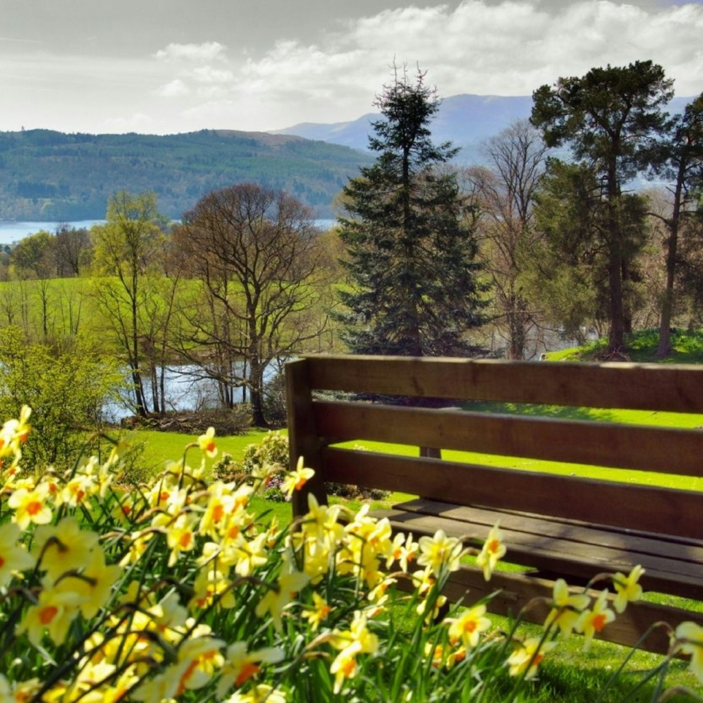 Lake District : Excursion d'une journée + croisière depuis Londres avec Cream Tea - 1