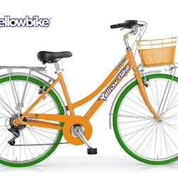 Lake Garda Yellow Bike Rental - 1