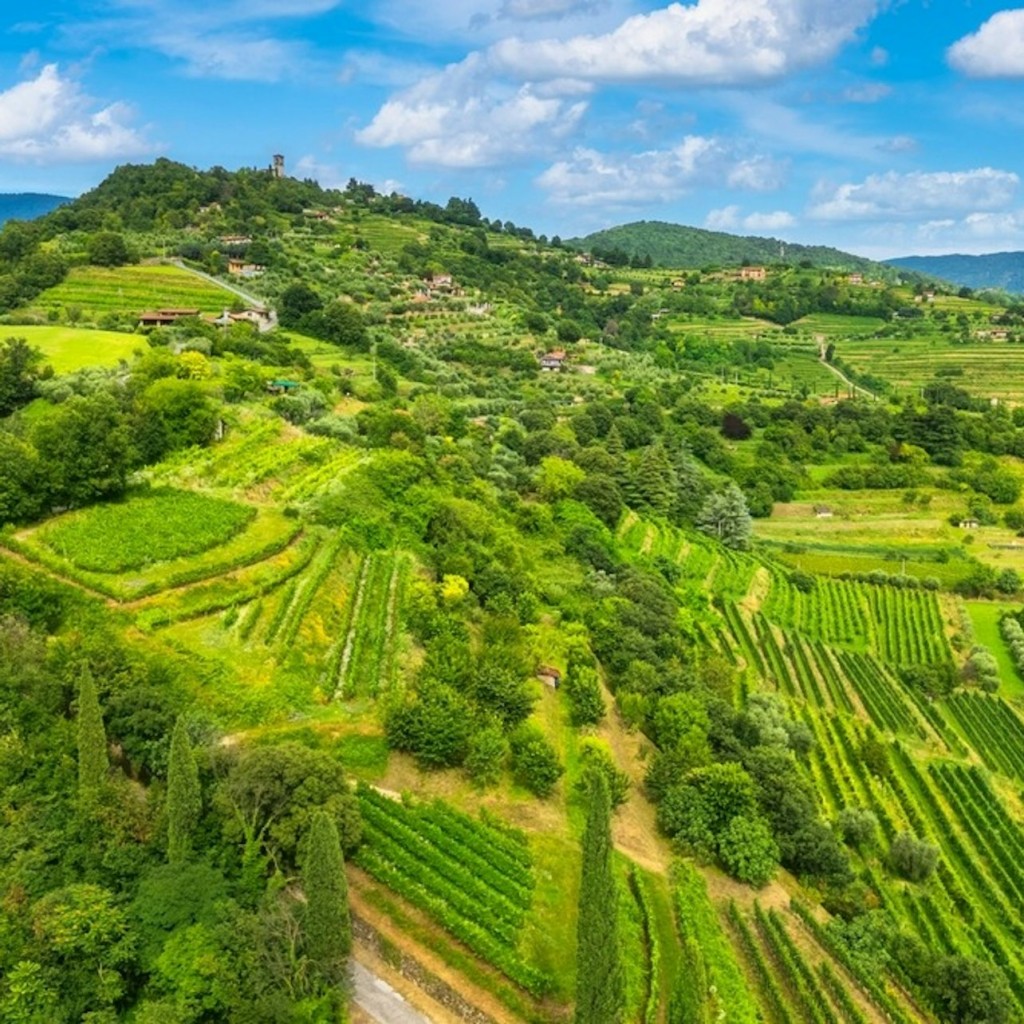 Lake Iseo i Franciacorta: zwiedzanie z przewodnikiem z Mediolanu + degustacja wina - 3