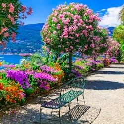 Lake Maggiore: Daytrip from Milan - 1