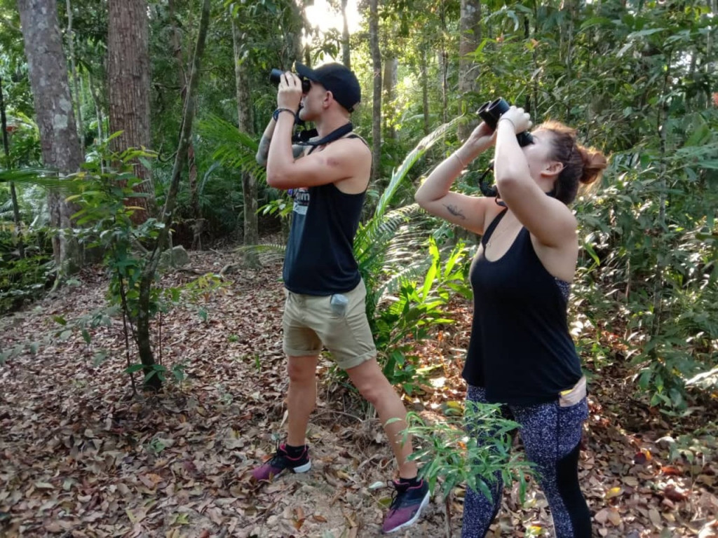 Langkawi Birdwatching Experience with Round Trip Transfer (Langkawi Birdwatching Experience with Round Trip Transfer - Afternoon) - 3