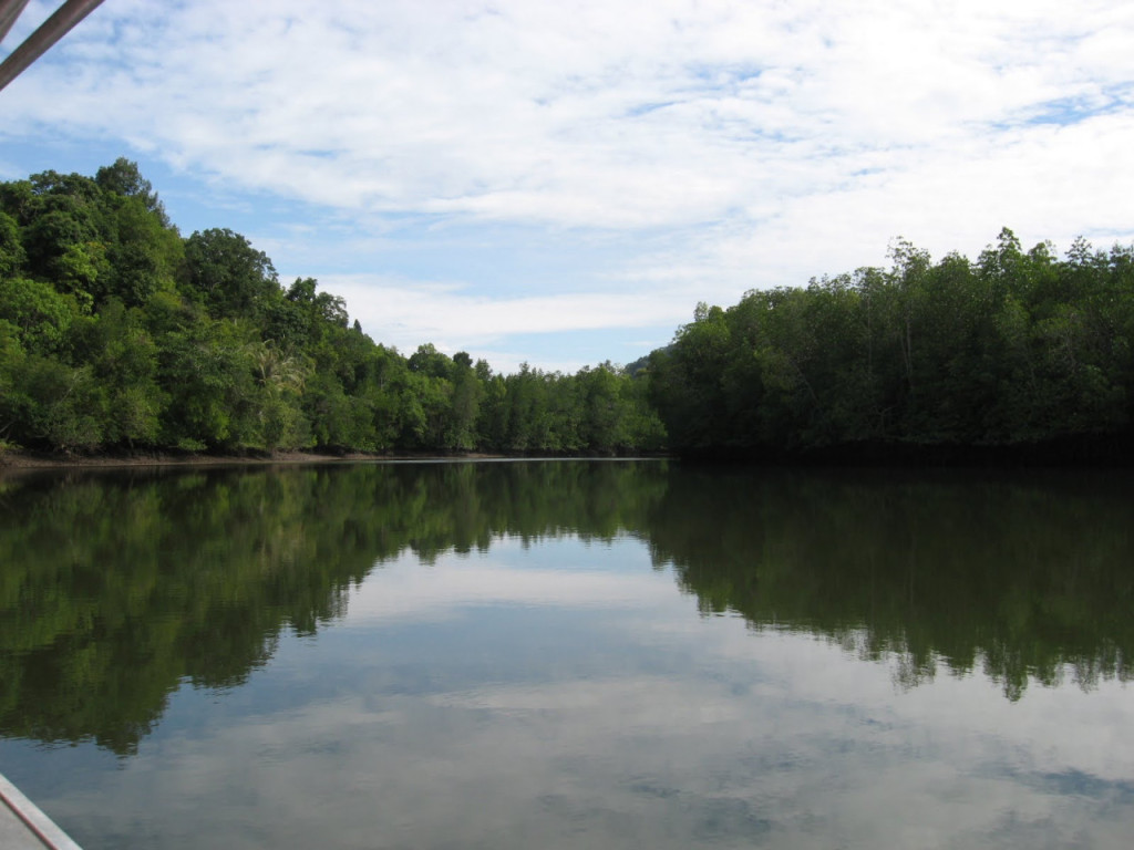 Langkawi Mangrove Cruise and Snorkeling (Private Langkawi Mangrove Cruise and Snorkelling) - 1