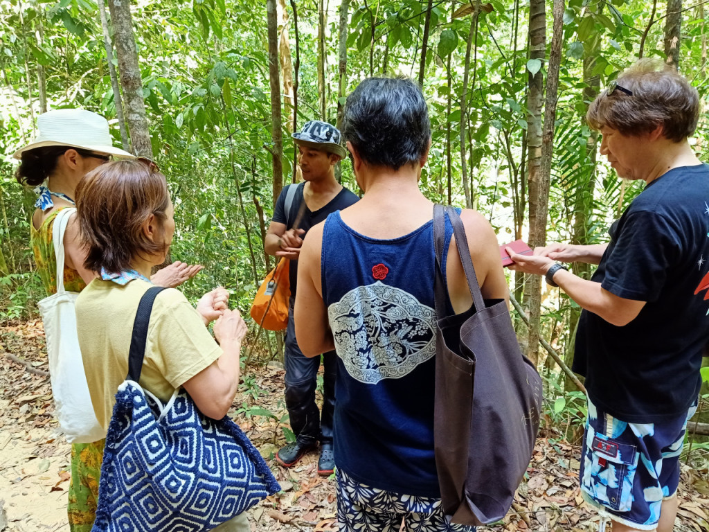 Langkawi Rainforest Trekking - 2