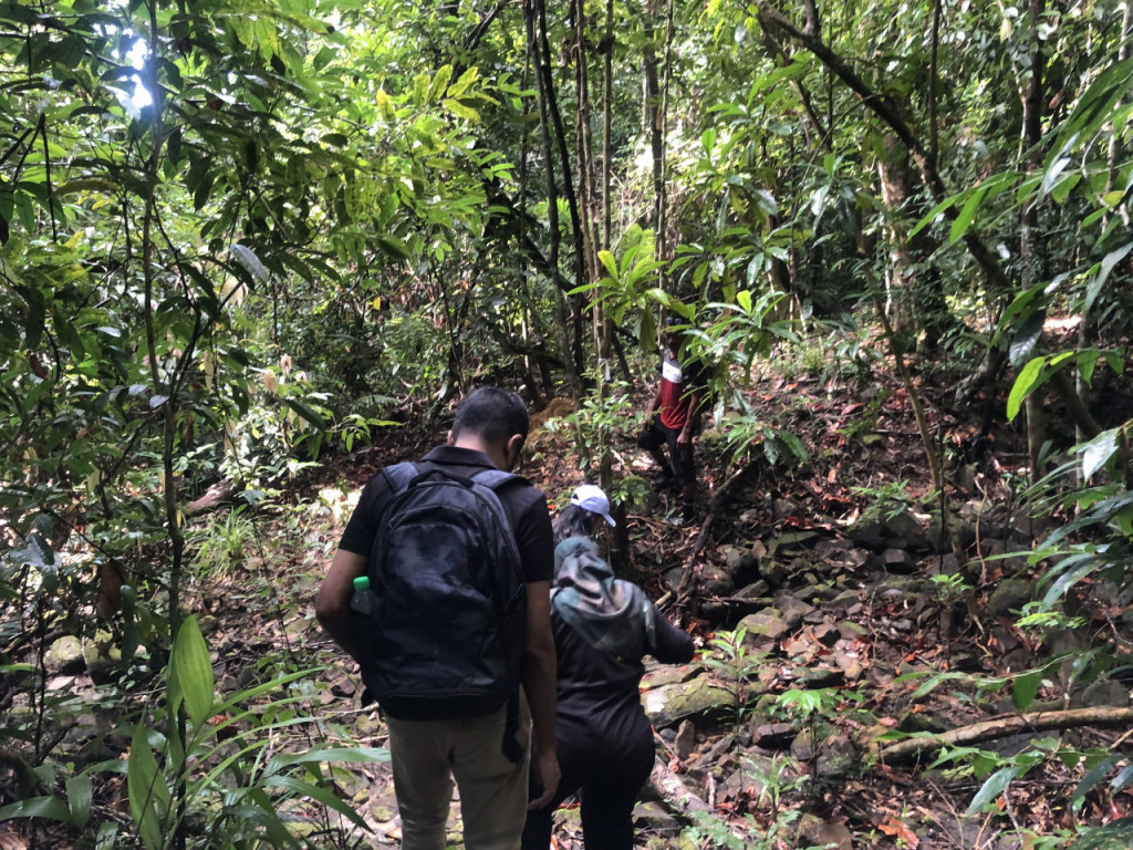 Langkawi Rainforest Trekking - 3