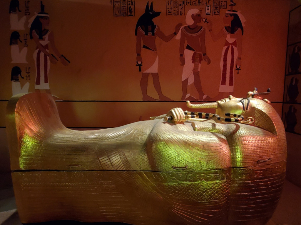 Las Vegas Natural History Museum (Las Vegas Natural History Museum - Admission) - 1