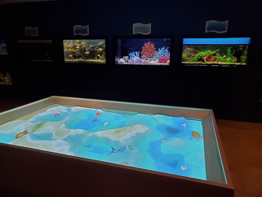 Las Vegas Natural History Museum (Las Vegas Natural History Museum - Admission) - 2