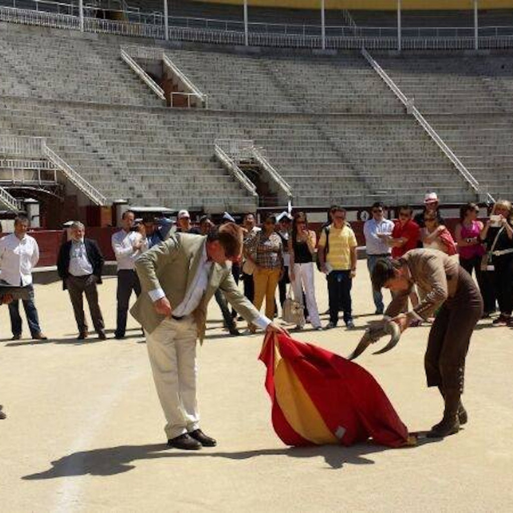 Las Ventas Bullring and Museum (Las Ventas Bullring and Museum - General Admission with Audio Guide) - 1