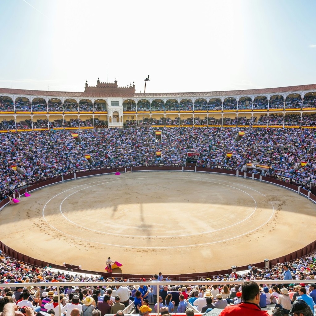 Las Ventas Bullring & Museum: Entry + Audio guide - 3