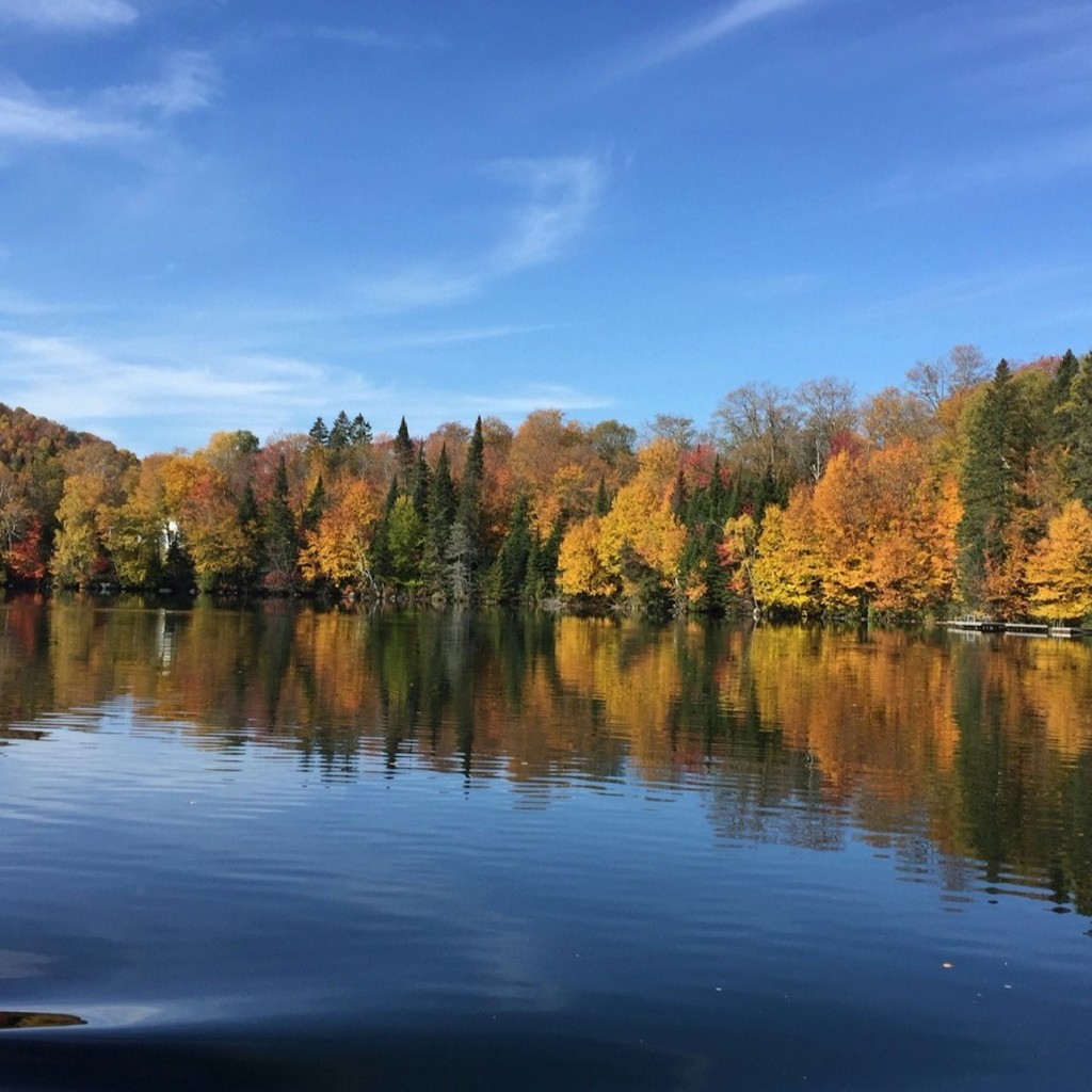 Muntanyes Laurencianes i Mont-Tremblant: Excursió d'un dia des de Mont-real - 3
