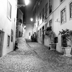 Lisbon: Guided Fado Tour - 3