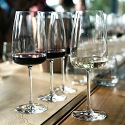Lisbon: Guided Wine Tasting Experience - 3