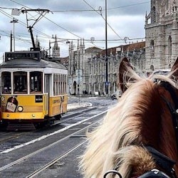 Lisbon: Horse-Drawn Carriage Ride in Belém - 3