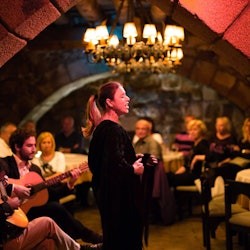 Lisbon: Small-Group Evening City Tour, Dinner and Fado Show with Transportation - 2