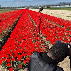 Lisse: Private Bicycle Tour of the Tulip Fields + Drinks - 1