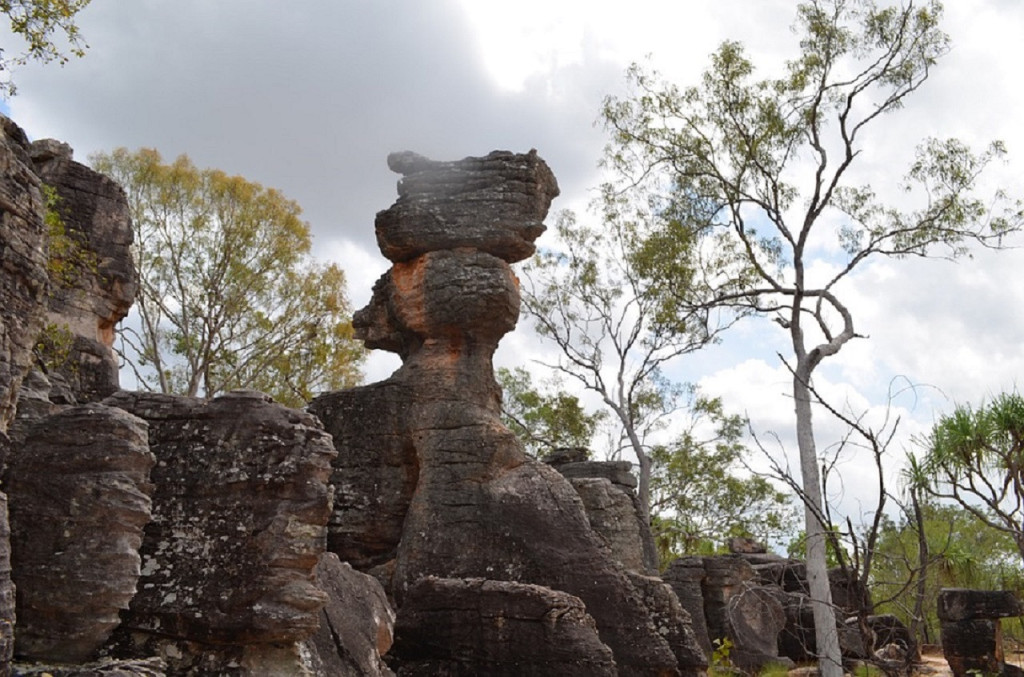 Litchfield National Park and Waterfalls Tour from Darwin (Litchfield National Park and Waterfalls Tour) - 2