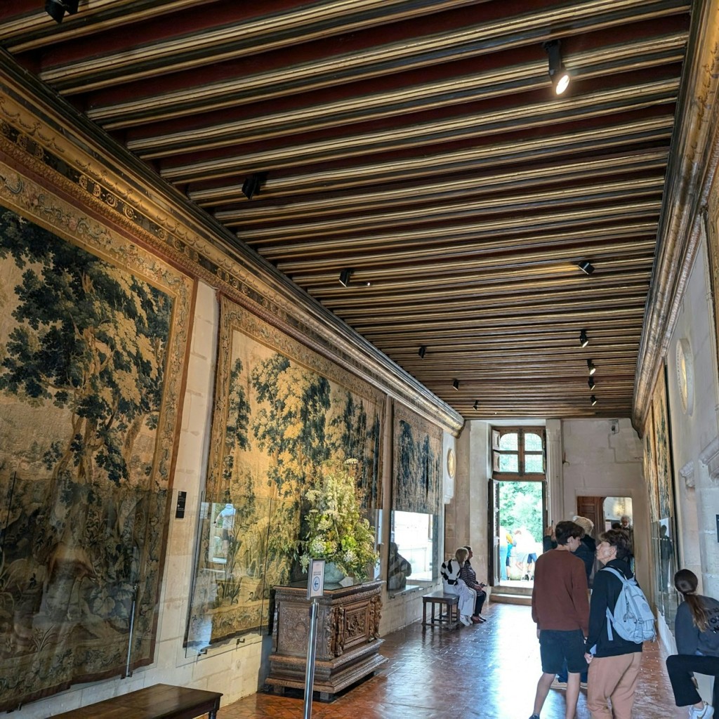 ロワール渓谷: 3つの城を訪れる日帰り旅行 - 2