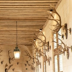 Loire Valley: Transport + Entry to 3 Castles - 2