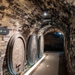 LOISIUM WineExperience: Fast Track Ticket - 1