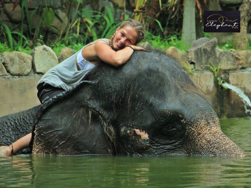 Lombok Wildlife Park Elephant Bath Experience (Lombok Wildlife Park - Elephant Bath Experience with High Tea (International Travellers)) - 3