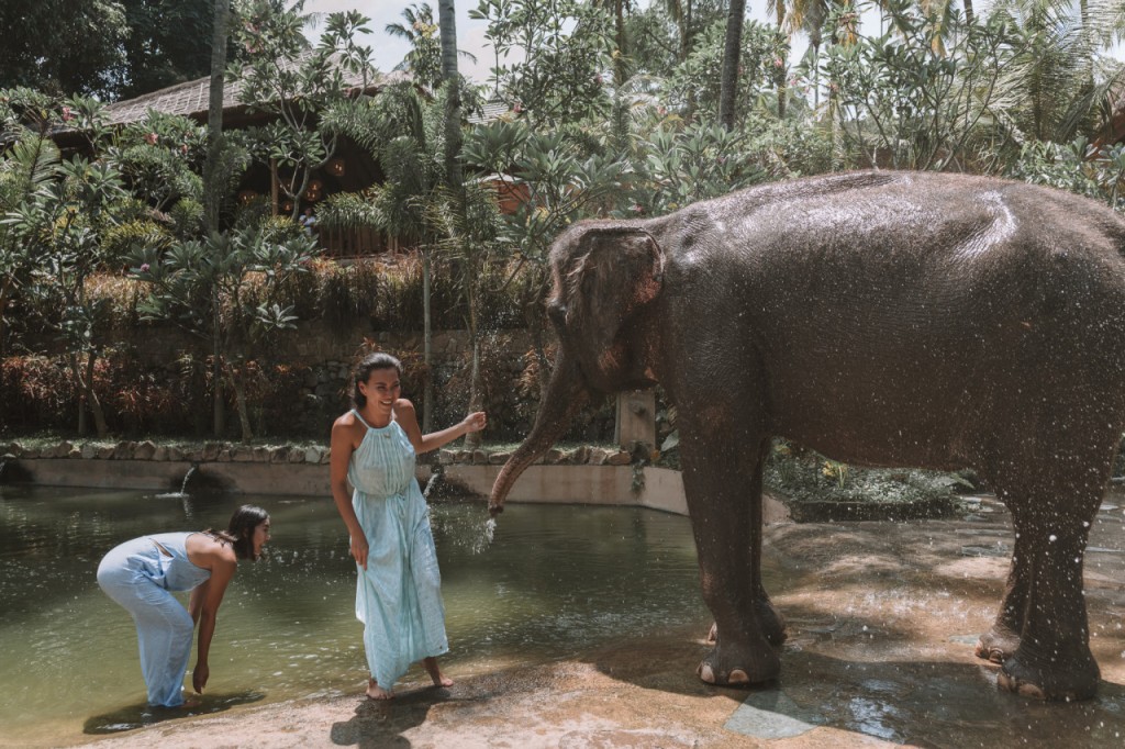 Lombok Wildlife Park Elephant Bath Experience (Lombok Wildlife Park - Elephant Bath Experience with Lunch (International Travellers)) - 2