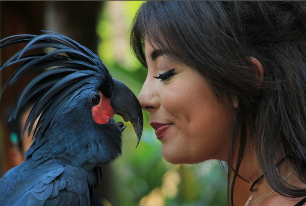 Lombok Wildlife Park (Lombok Wildlife Park - Admission with Lunch (International Travellers)) - 1