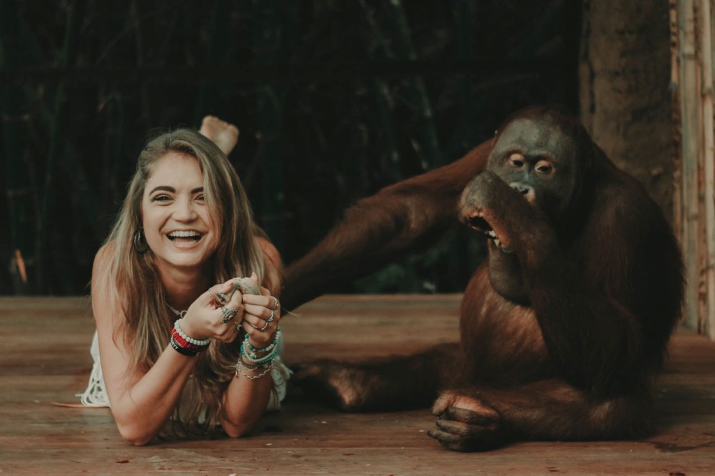 Lombok Wildlife Park Orangutan Interaction (Lombok Wildlife Park - Orangutan Interaction with Lunch (International Travellers)) - 1