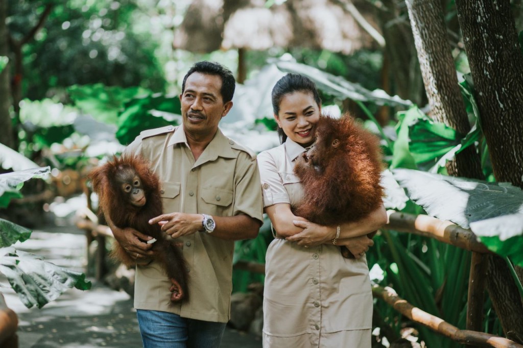 Lombok Wildlife Park Orangutan Interaction (Lombok Wildlife Park - Orangutan Interaction with Lunch (International Travellers)) - 2