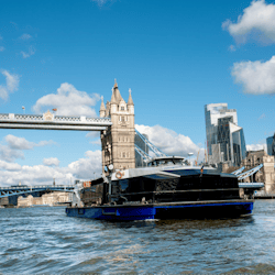 Londres : Croisière Hop-on Hop-off valable 24 heures - 3