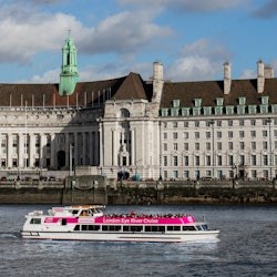 London Eye: Flusskreuzfahrt - 1