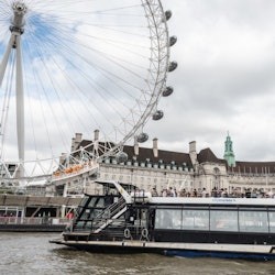 London: Guided Harry Potter Walking Tour + London Eye Fast Track Ticket - 3