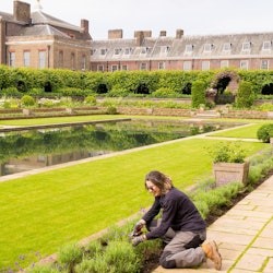 Londres: Tour guiat a peu + Canvi de guàrdia + Entrada al palau de Kensington - 2
